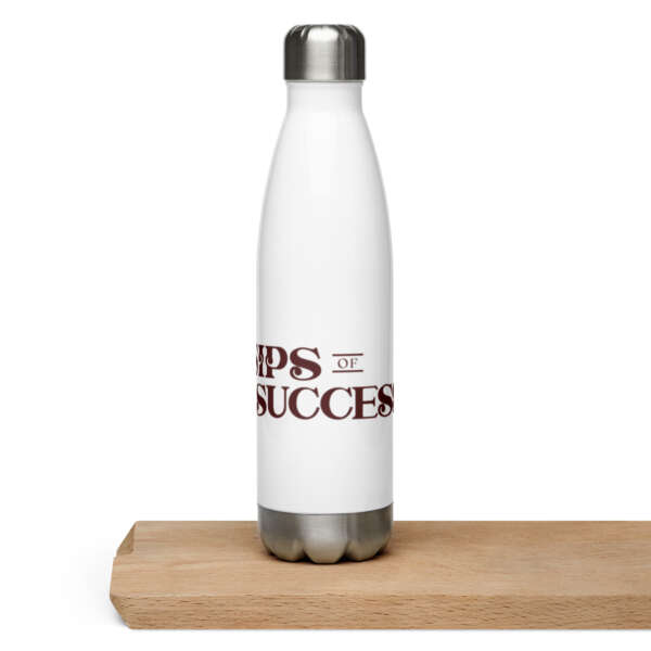 Stainless Steel Water Bottle